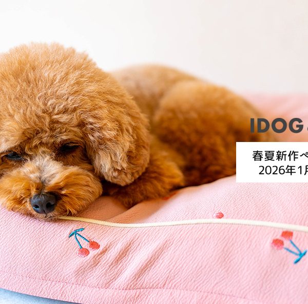 IDOG&ICATより女の子の「かわいい」を詰め込んだ、ときめきのペットベッド「iDog fleur チェリーのクッションベッド」を1月25日より販売開始