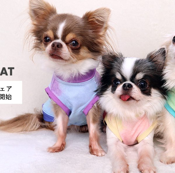 IDOG&ICATオリジナルペットウェア2026年春夏コレクション、季節に寄り添う新作ウェアを2月頃より展開