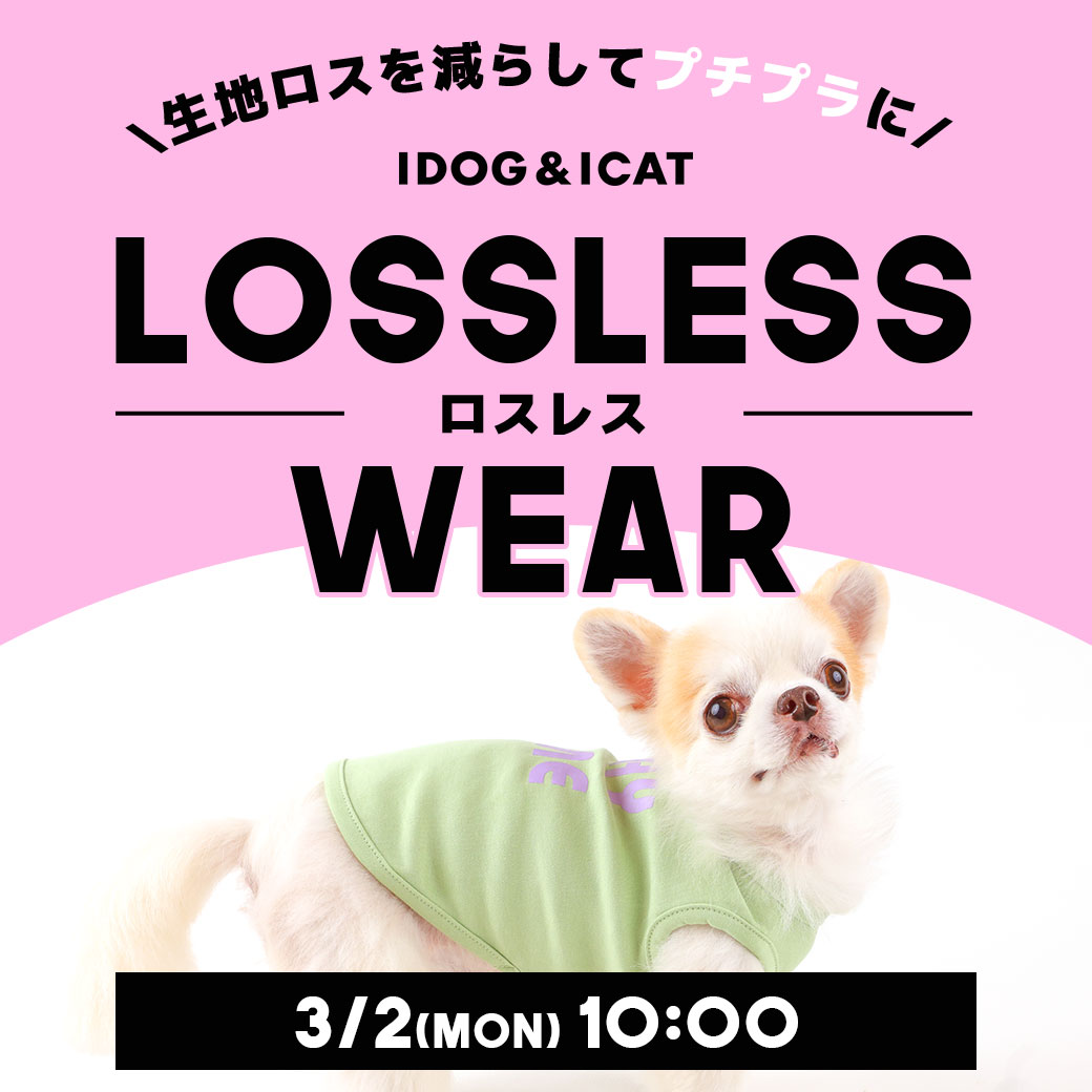 アウトレットセール ロスレスウェア