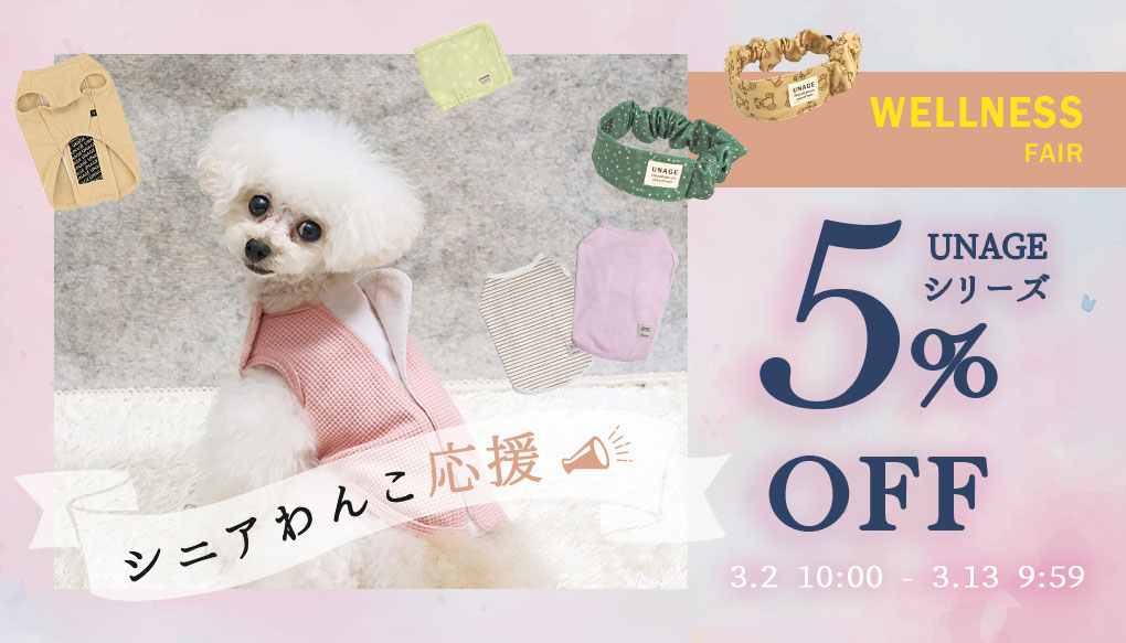 ウェルネスフェア