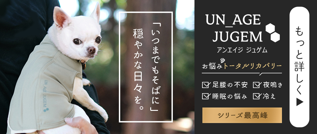 ジュゲム特集ページへ