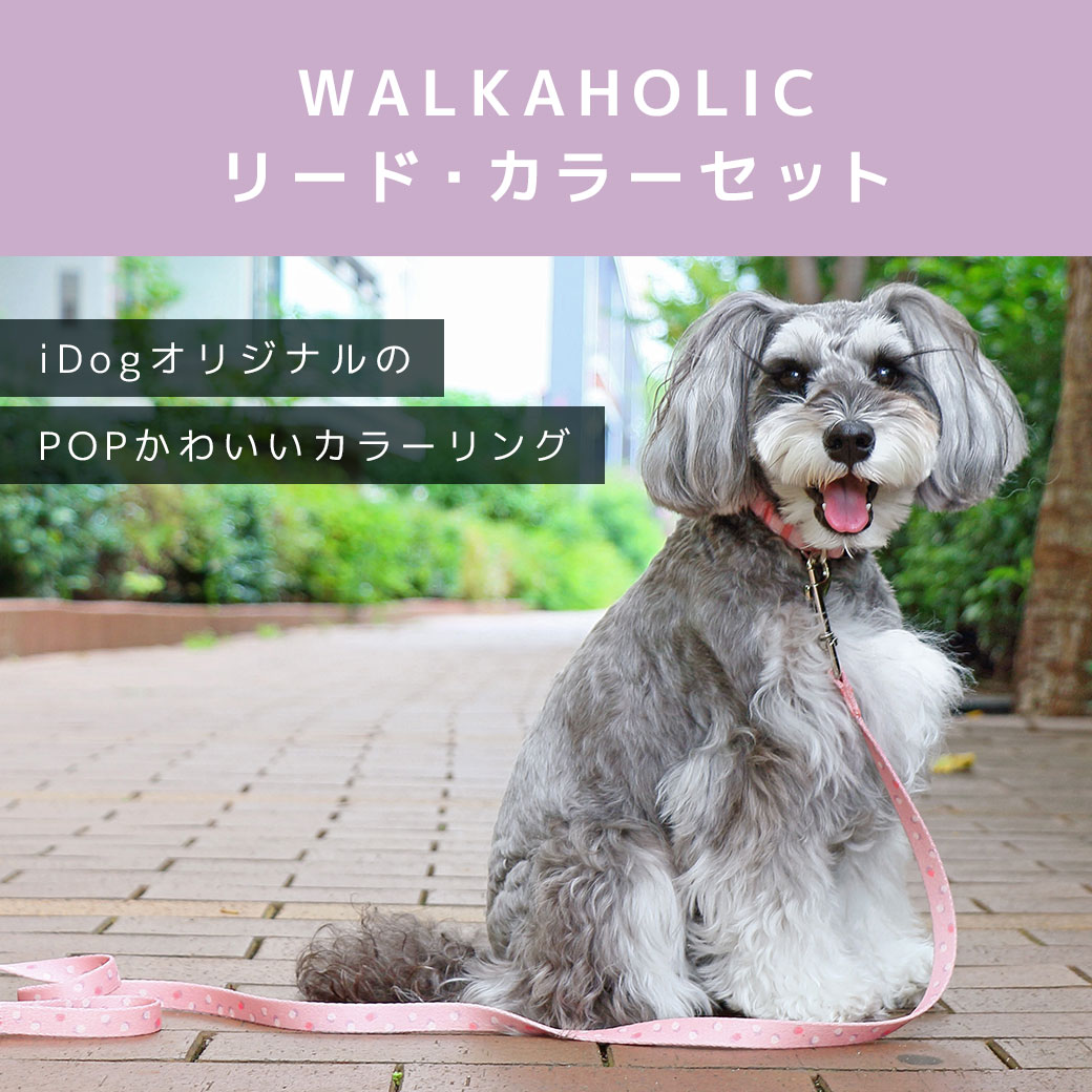 犬 首輪 リード 【 犬 首輪 リード 】iDog WALKA HOLIC リード・カラーセット アイドッグ【 軽量 犬の首輪 犬用首輪 犬のリード 犬用リード カラーイヌ いぬ 散歩 ワンタッチ 犬首輪 超小型犬 子犬 小型犬 idog 楽天 】 アイドッグ 犬の首輪 犬のリード