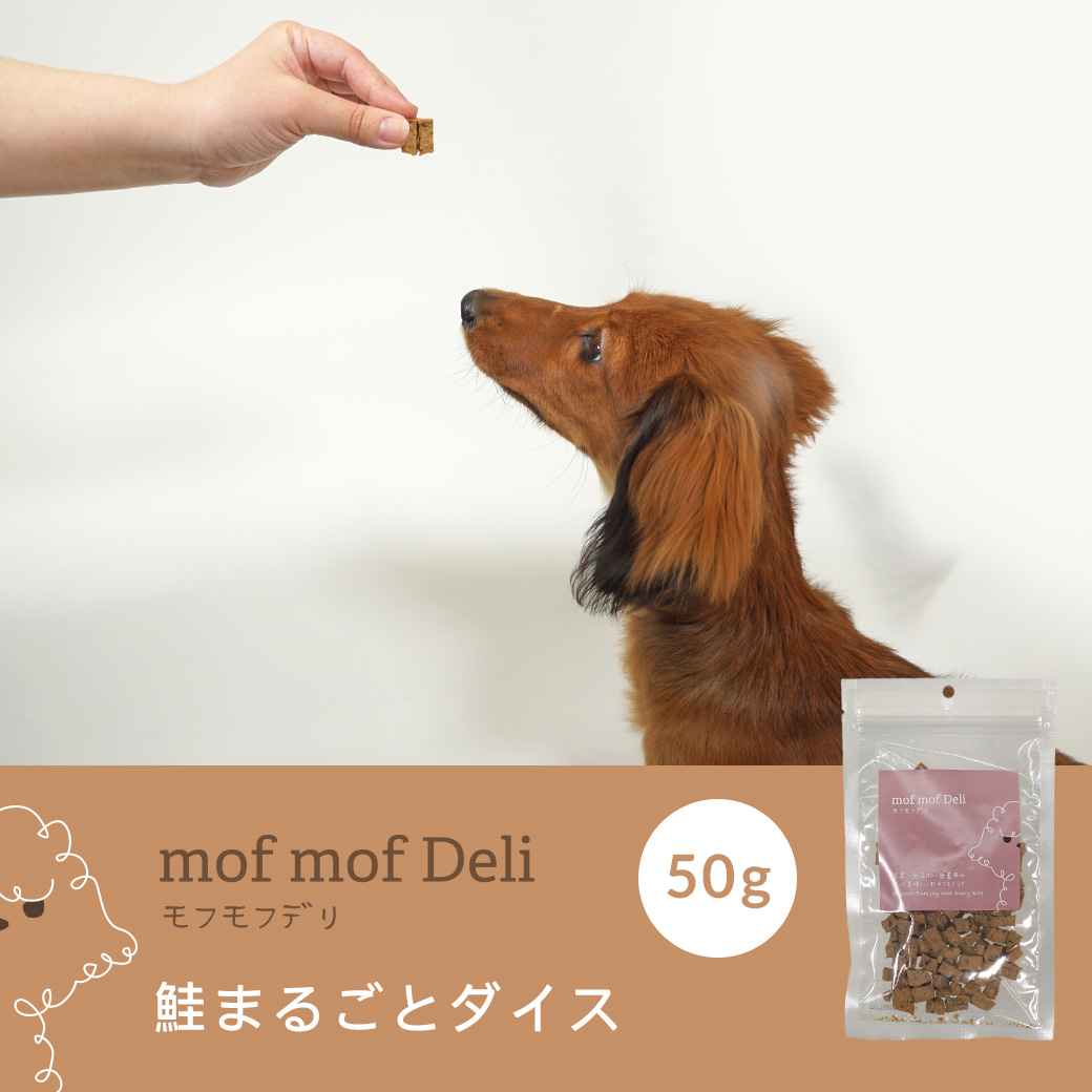 犬 おやつ mof mof Deli/鮭まるごとダイス 50g モフモフデリ ジャーキー 肉