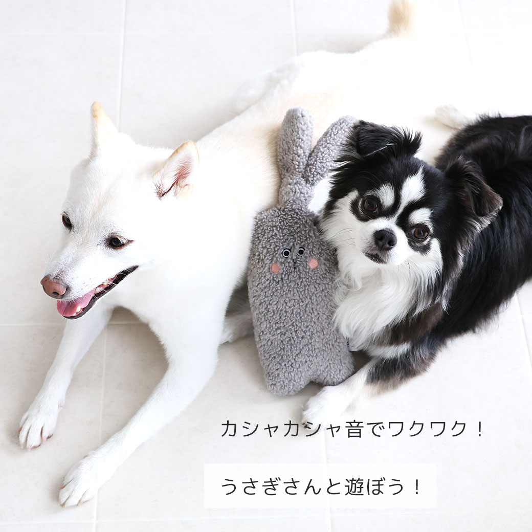 犬 おもちゃ IDOG&ICAT iDog fleur ラビット カシャカシャ入り アイドッグ 布製 ぬいぐるみ 犬のおもちゃ