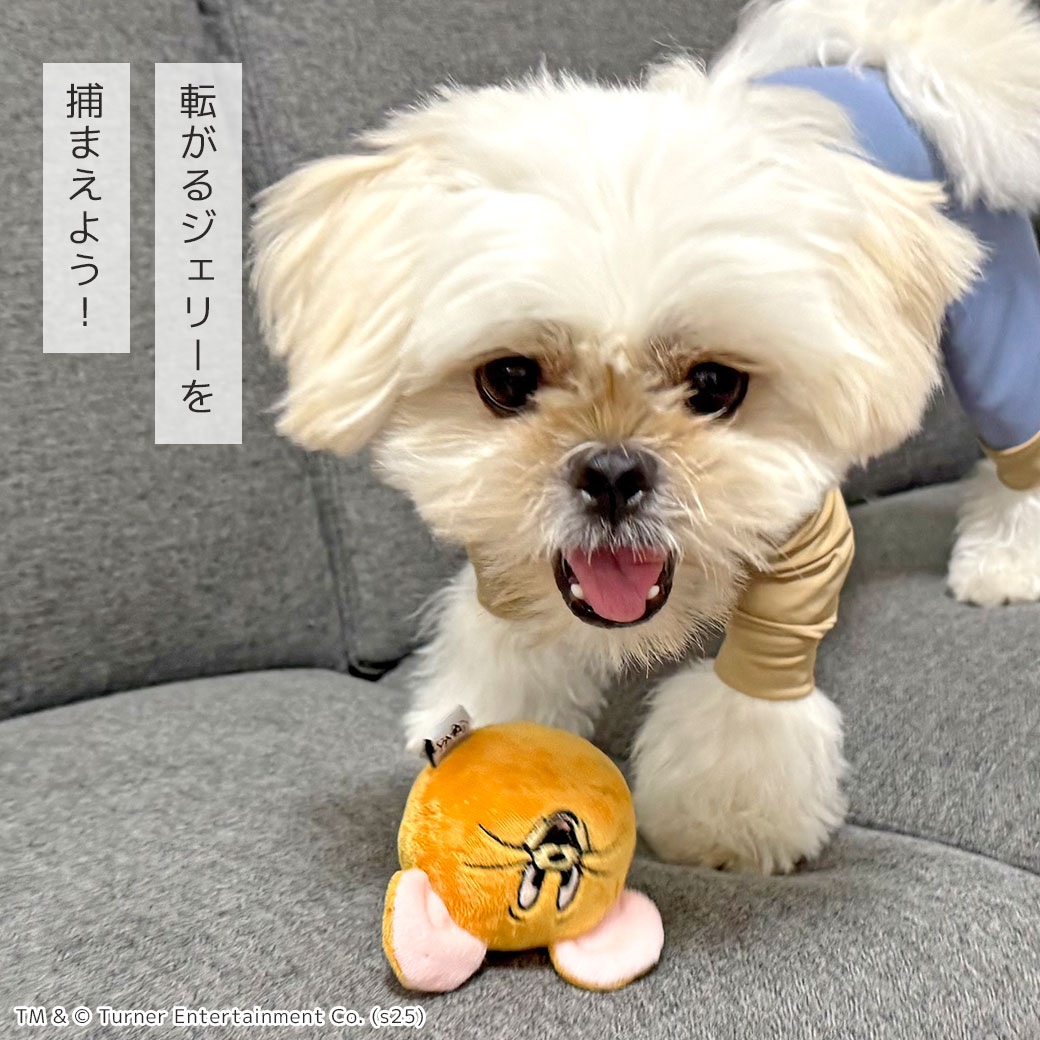 犬 おもちゃ iDog TOM and JERRY コロコロジェリーボール アイドッグ 布製 ぬいぐるみ 犬のおもちゃ