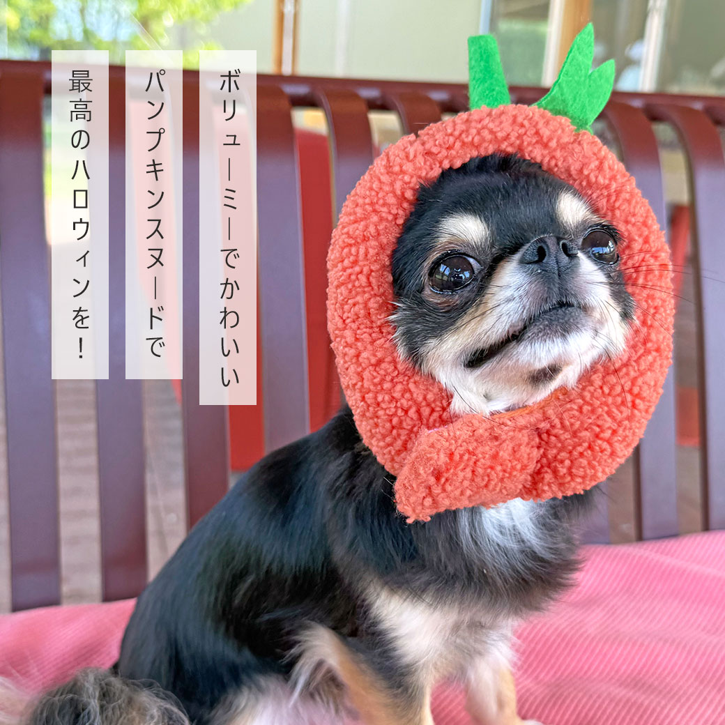 耳 汚れ防止 犬 服 iDog パンプキンスヌード アイドッグ かぶりもの 帽子 犬の服 犬服