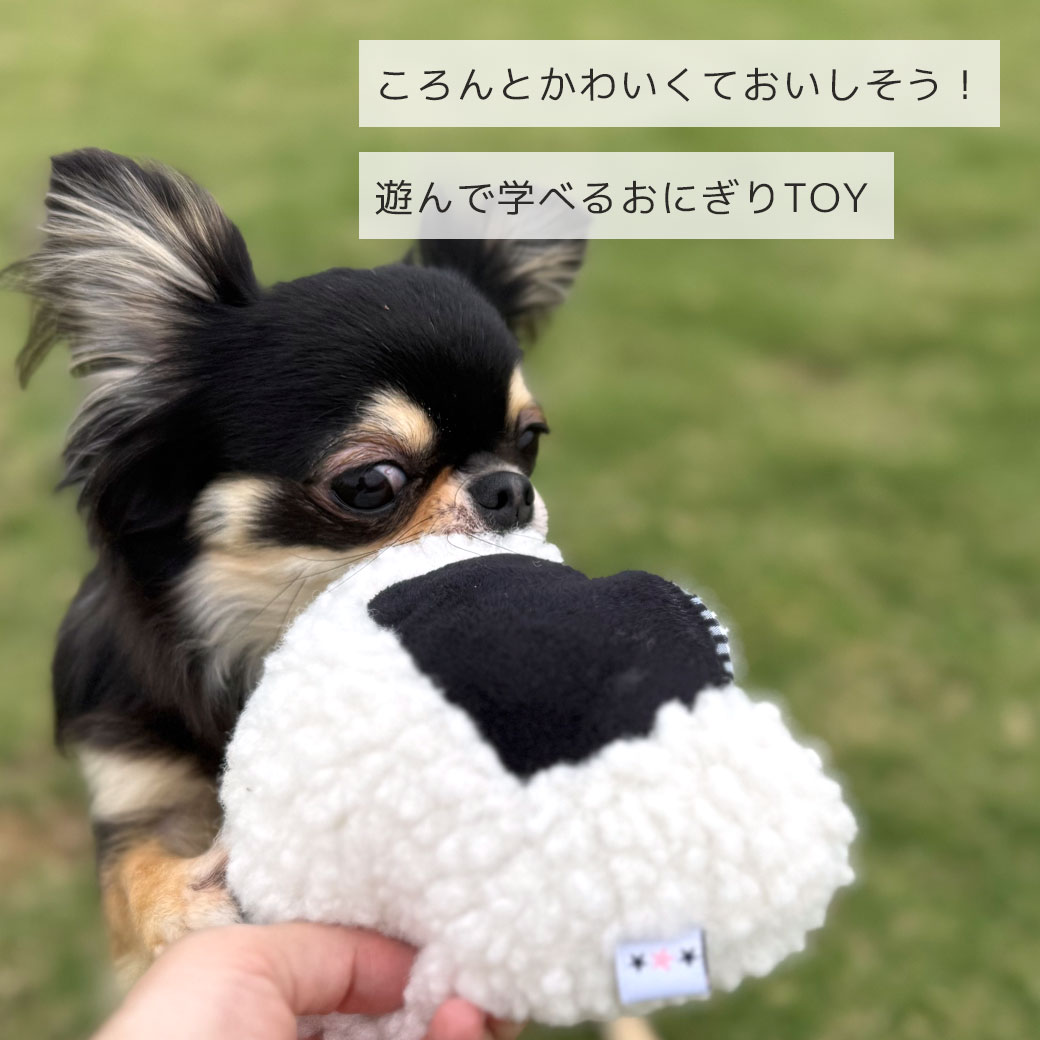 犬 おもちゃ iDog ないしょのポケット 大きなおにぎり 鳴き笛入り アイドッグ 布製 ぬいぐるみ 犬のおもちゃ