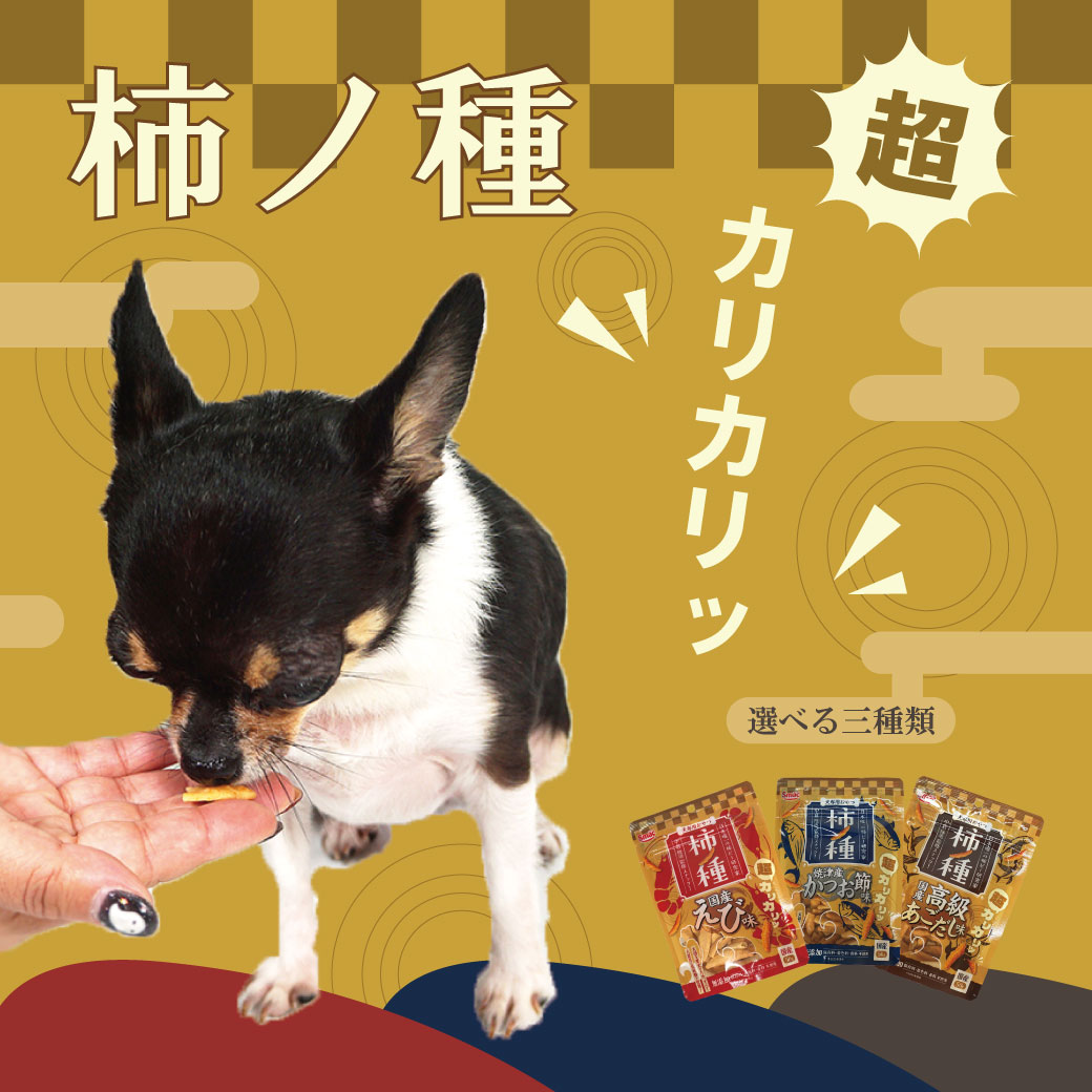 犬 おやつ スマック/柿ノ種国産高級あごだし味 50g 無添加 国産 ボーロ クッキー