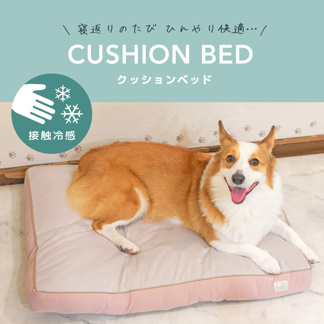 犬 猫 ベッド IDOG&ICAT クッションベッド 接触冷感 抗菌 防臭 アイドッグ ベッド クッション マット ソファ カドラー