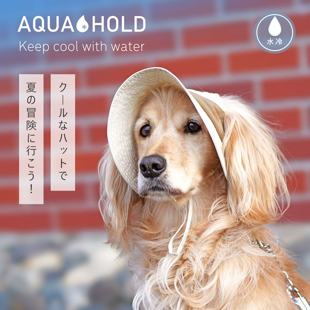 ひんやり 犬 服 iDog AQUA HOLD ひんやりアクティブハット アイドッグ 犬の服 犬服