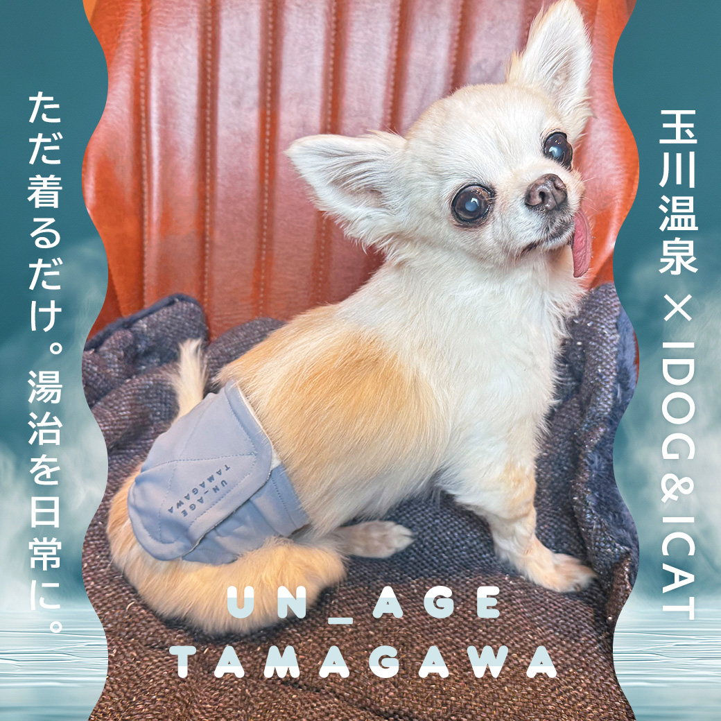 シニア 犬 服 iDog UN_AGE TAMAGAWA ペット腹巻き アイドッグ UN_AGE アンエイジ  介護服 体幹安定 犬の服 犬服