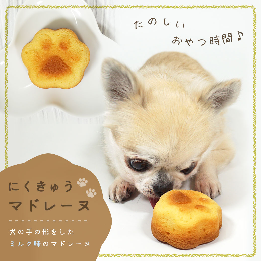 犬 おやつ 肉球マドレーヌ ミルク