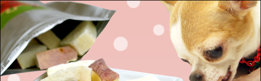 犬 手作り食 どっとわん ドットわん リンゴ7 17g 手作りごはん ふりかけ トッピング01